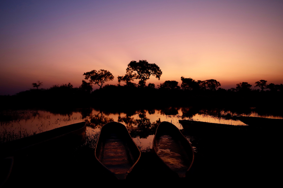 two boats with a silhouetted tree at sunset