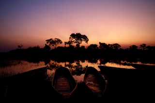 Two boats moored beneath a silhouetted tree at sunset